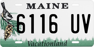 ME license plate 6116UV