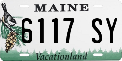 ME license plate 6117SY
