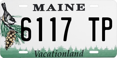 ME license plate 6117TP