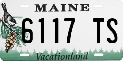ME license plate 6117TS