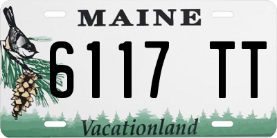 ME license plate 6117TT
