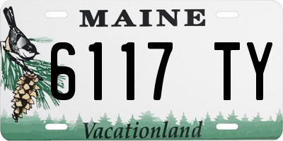 ME license plate 6117TY
