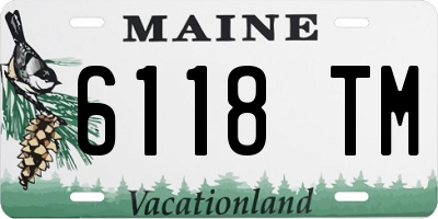 ME license plate 6118TM