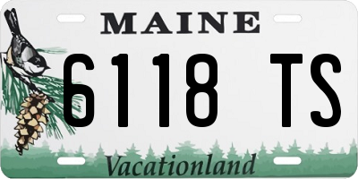 ME license plate 6118TS