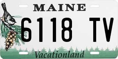 ME license plate 6118TV