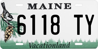 ME license plate 6118TY