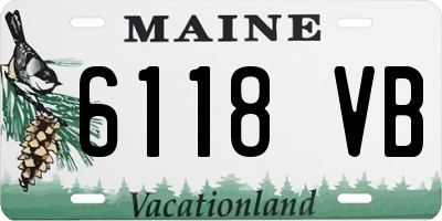 ME license plate 6118VB