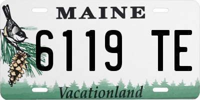ME license plate 6119TE