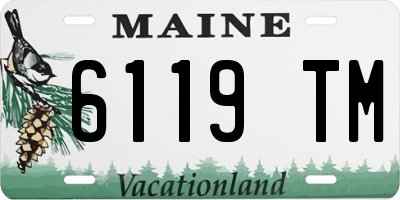 ME license plate 6119TM