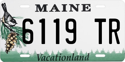 ME license plate 6119TR