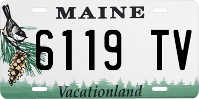 ME license plate 6119TV