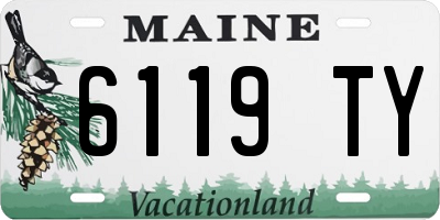 ME license plate 6119TY