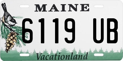 ME license plate 6119UB