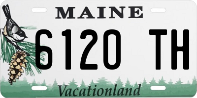 ME license plate 6120TH