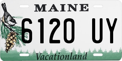 ME license plate 6120UY