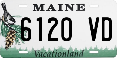 ME license plate 6120VD