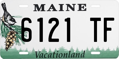 ME license plate 6121TF