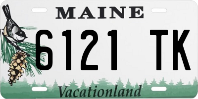 ME license plate 6121TK