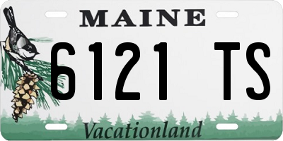 ME license plate 6121TS