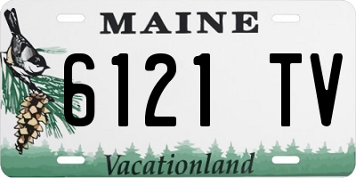 ME license plate 6121TV