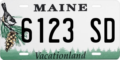 ME license plate 6123SD