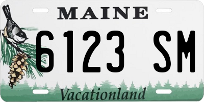 ME license plate 6123SM