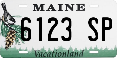 ME license plate 6123SP