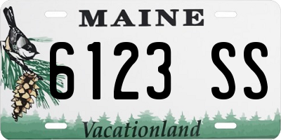 ME license plate 6123SS