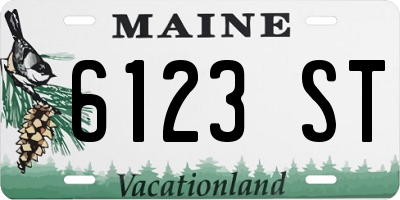 ME license plate 6123ST