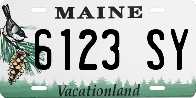 ME license plate 6123SY