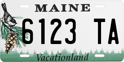 ME license plate 6123TA