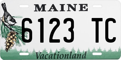 ME license plate 6123TC