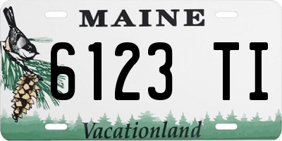 ME license plate 6123TI