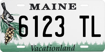 ME license plate 6123TL