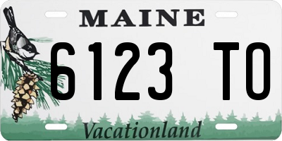 ME license plate 6123TO