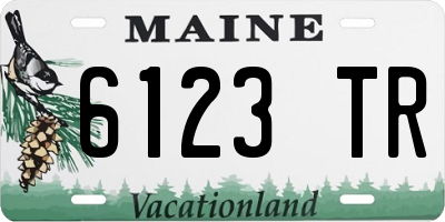 ME license plate 6123TR