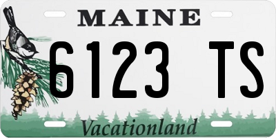 ME license plate 6123TS