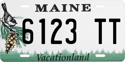 ME license plate 6123TT