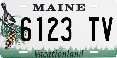ME license plate 6123TV