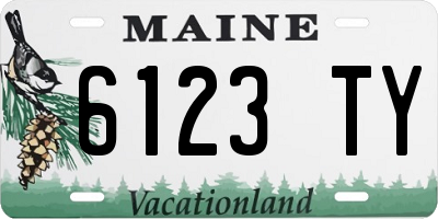 ME license plate 6123TY