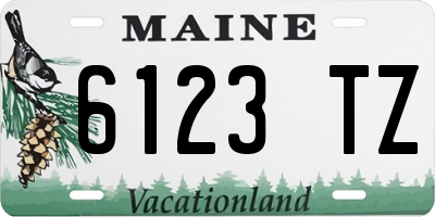 ME license plate 6123TZ