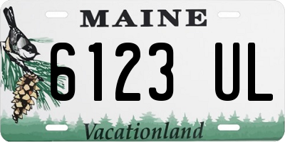 ME license plate 6123UL