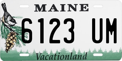 ME license plate 6123UM