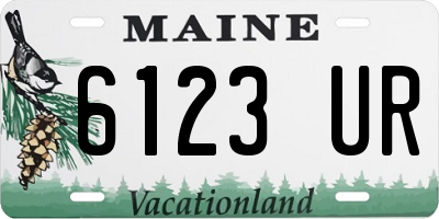 ME license plate 6123UR