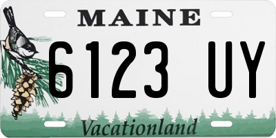 ME license plate 6123UY