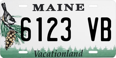 ME license plate 6123VB
