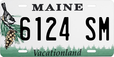 ME license plate 6124SM
