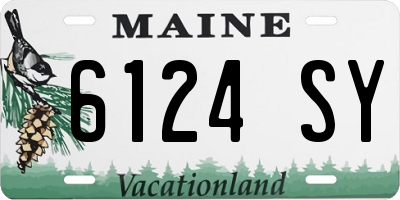 ME license plate 6124SY
