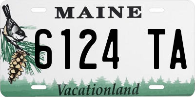 ME license plate 6124TA