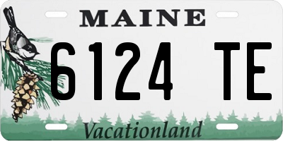 ME license plate 6124TE
